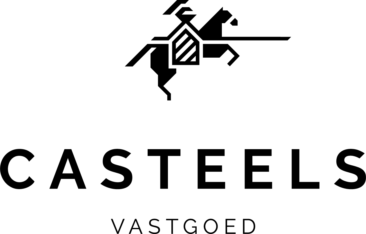 logo casteels vastgoed_office:3132