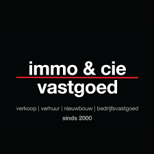 Logo Immo & Cie_office:2175
